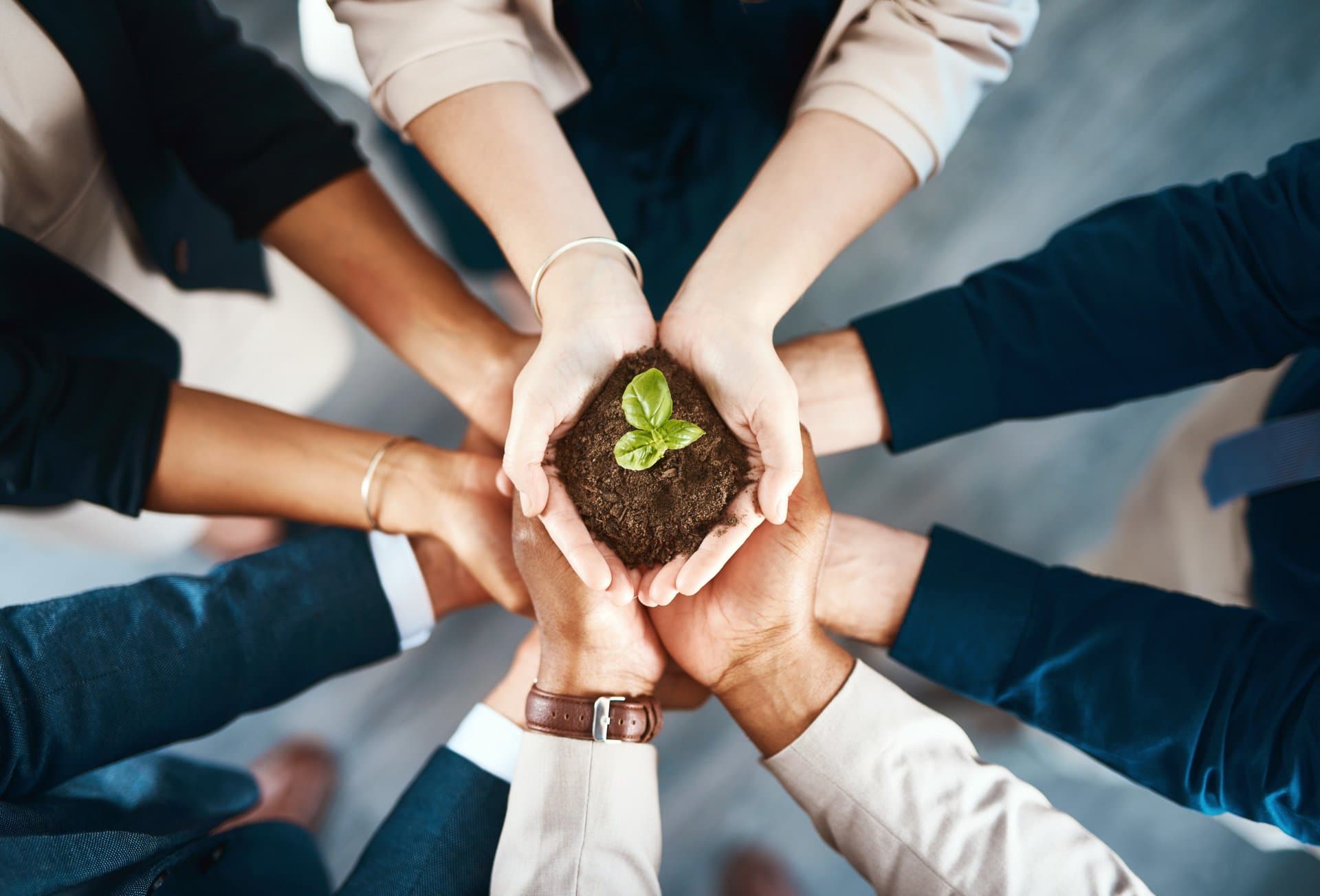 Group of colleagues joining hands together around a small plant growing in soil